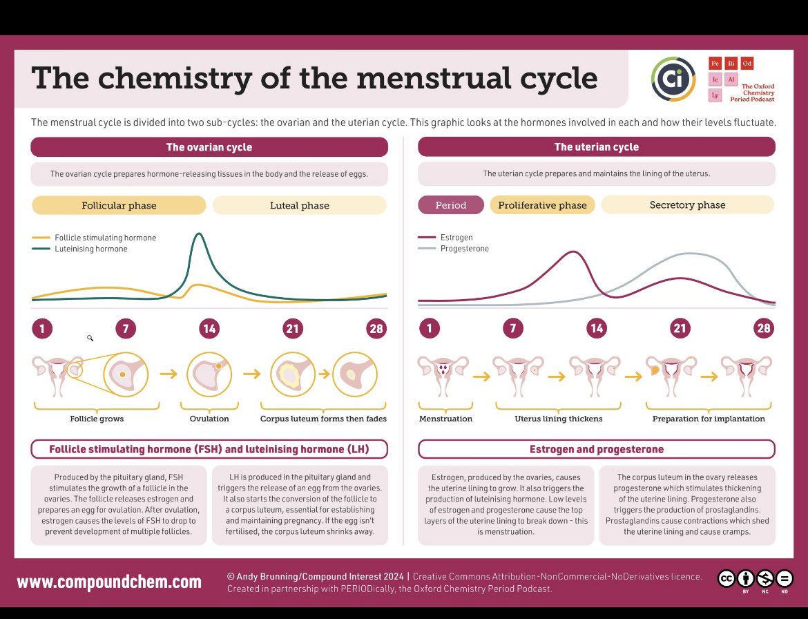 If you didn't believe us that chemistry and periods really do go hand in hand, we hope our inforgraphic in collaboration  with Compound Interest might change your mind! 🩸🩸🩸
