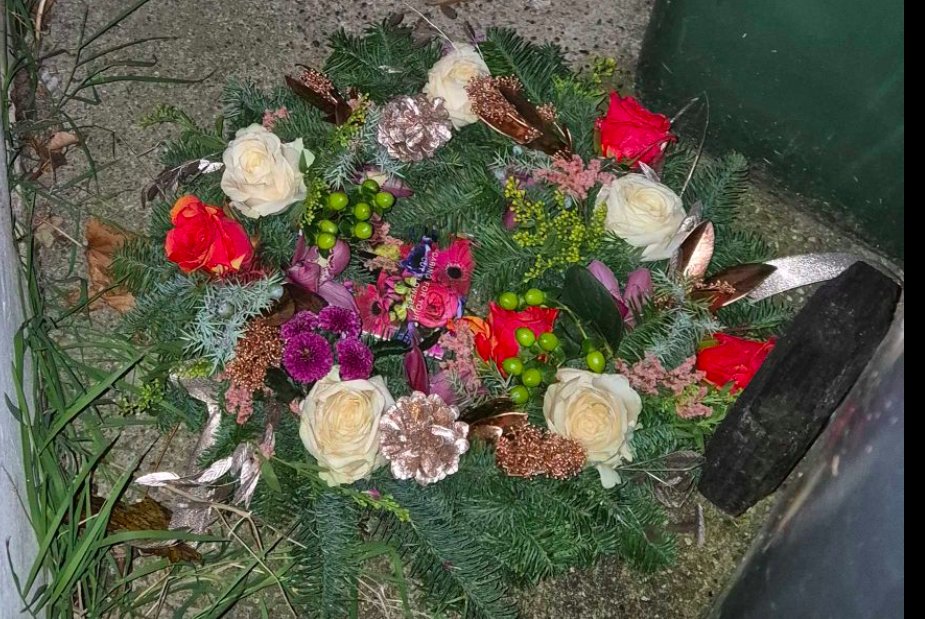 Isley TRANS SOLIDARITY Lynn tweet media