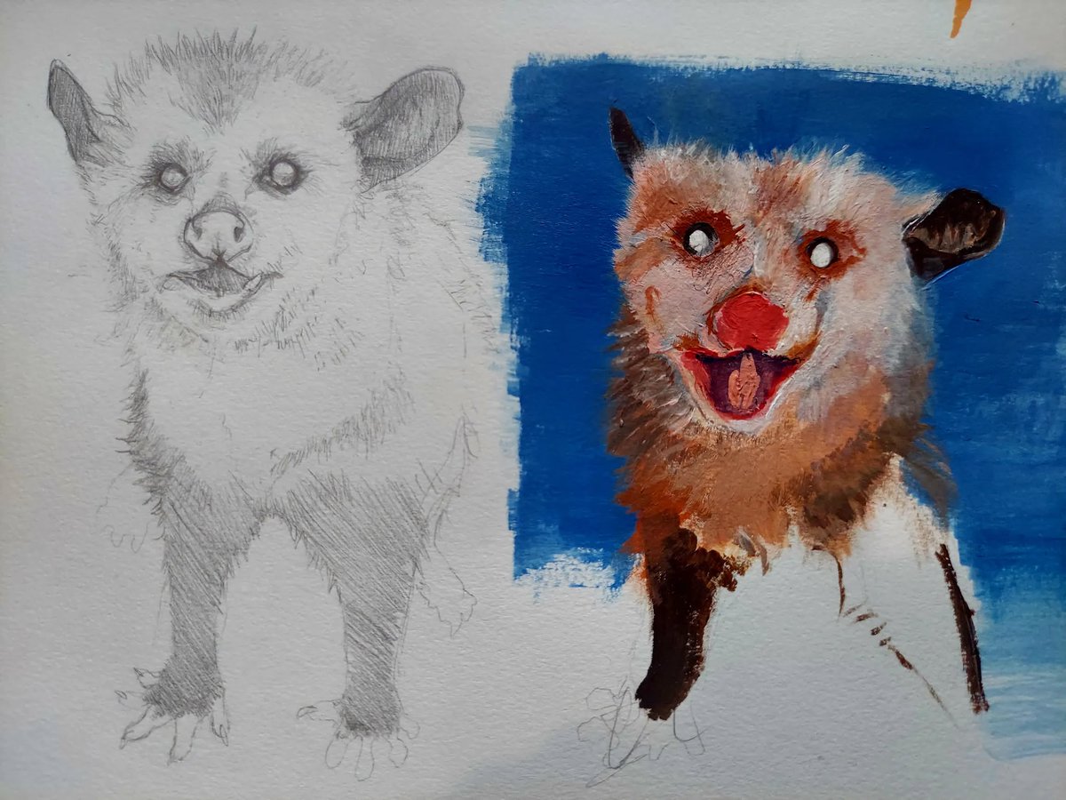 possum art #ArtistOnTwitter