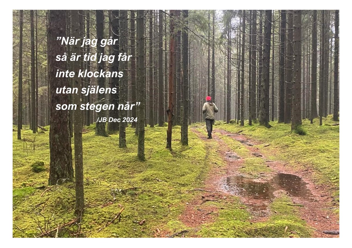 Var länge sedan orden kom till mig. Men under gårdagen vandrade några rader in. Stänger måndagskvällen med dem. Kanske en början på något. Det är bara att fortsätta att gå. Godnatt!