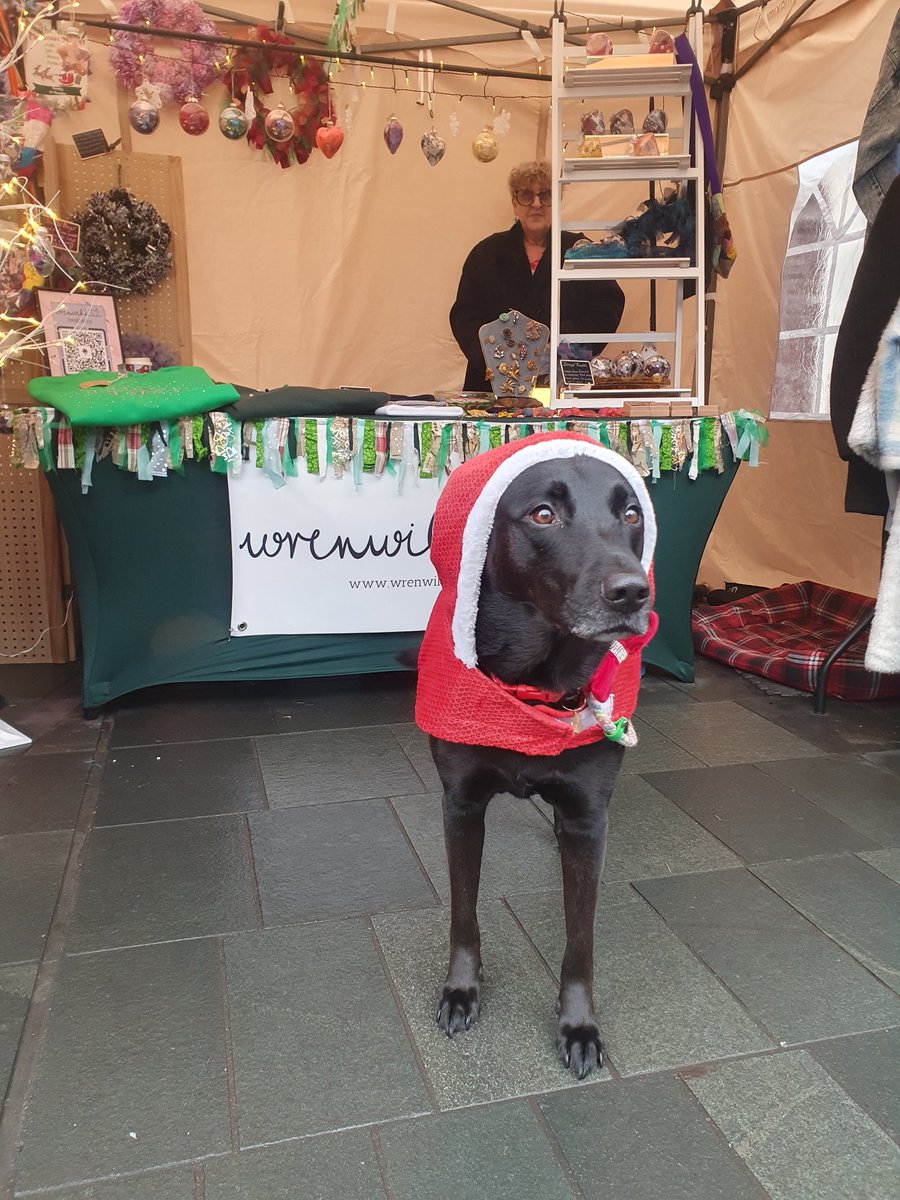 We might be biased, but our stall assistant is possibly the cutest thing we've ever seen 🎄❤️

<a href="/dog_rates/">WeRateDogs</a>