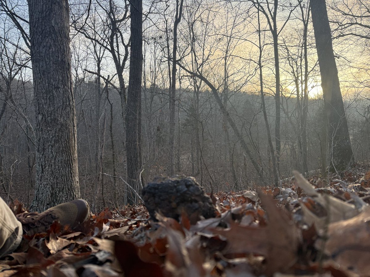 Charlie Frago tweet media