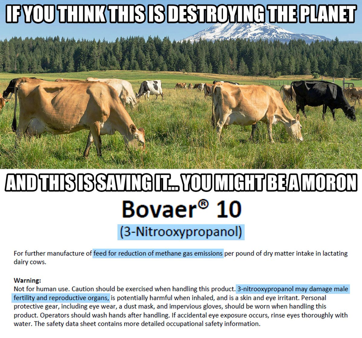 JO BICKERSTAFFE CHARLESTON (@jobickerstaffe) on Twitter photo So why isn’t the #Bovaer <a href="/ArlaFoodsUK/">Arla Foods UK</a> poisoning all over the news? <a href="/GranadaReports/">ITV Granada Reports</a> <a href="/itvnews/">ITV News</a> <a href="/5_News/">Channel 5 News</a> <a href="/BBCWorld/">BBC News (World)</a> <a href="/SkyNews/">Sky News</a> ??? Should you not be telling g the Public how they are purposely being poisoned? #FullFartMilk !!! So why isn’t the #Bovaer <a href="/ArlaFoodsUK/">Arla Foods UK</a> poisoning all over the news? <a href="/GranadaReports/">ITV Granada Reports</a> <a href="/itvnews/">ITV News</a> <a href="/5_News/">Channel 5 News</a> <a href="/BBCWorld/">BBC News (World)</a> <a href="/SkyNews/">Sky News</a> ??? Should you not be telling g the Public how they are purposely being poisoned? #FullFartMilk !!!