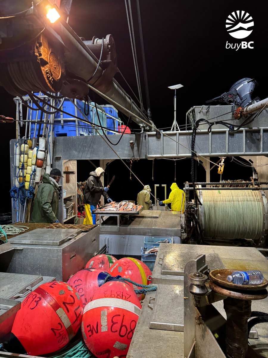 🌊 Final Week Alert! 🌊

We’re in the last week of the 2024 wild Pacific halibut season! 🐟 Our hardworking fishing families are out on the water, bringing in the freshest catch until December 7th.

This is your chance to savor the incredible taste of wild Pacific halibut before