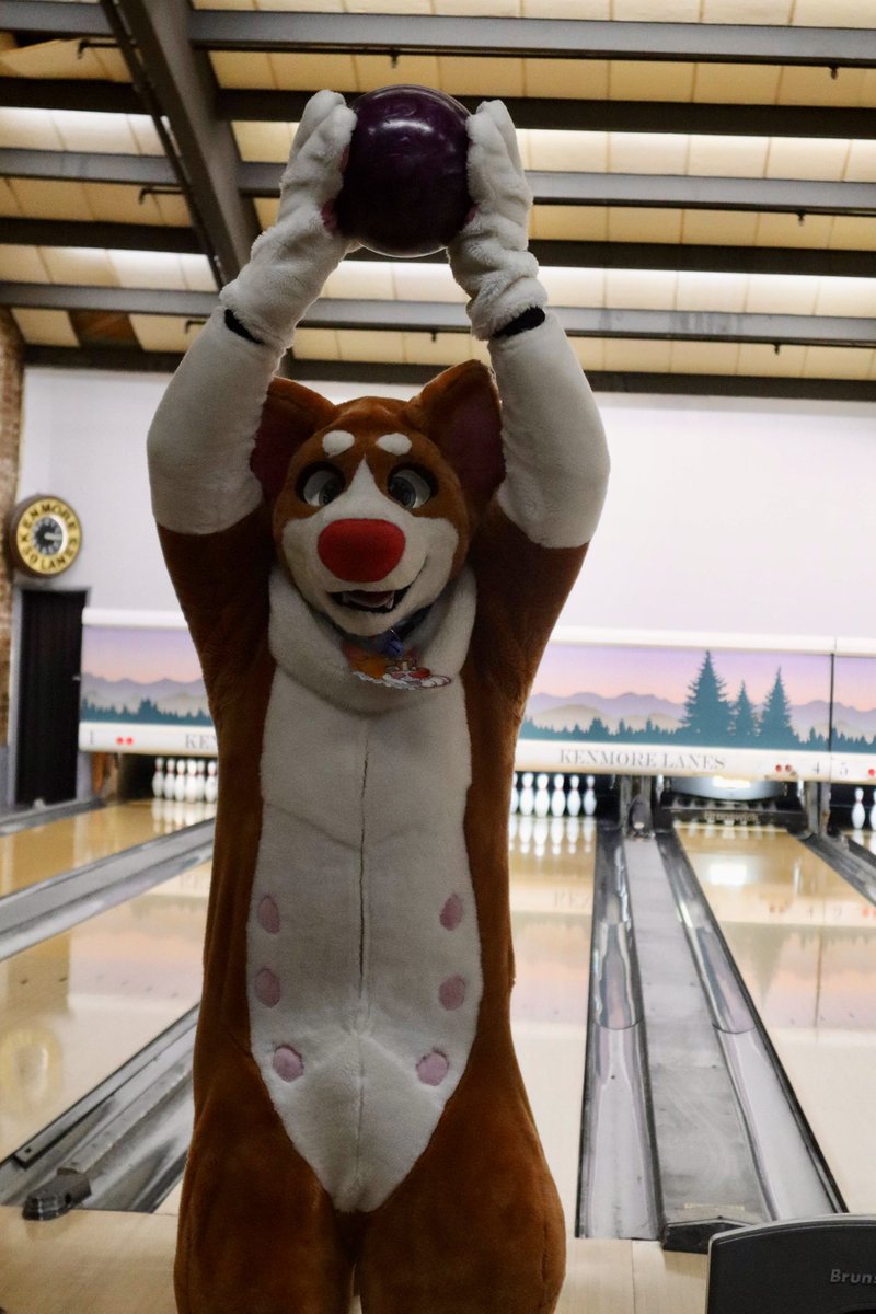 Peanut_Pitbull's tweet image. Highlights from the When Furballs Strike meet! Huge thanks to @FurlifeNW for informing me of the event! It was great to see familiar faces like @JesseBlueFox &amp;amp; @thefurrybarista! Can’t wait to see y’all at anthro northwest this year 🧡 #wfs #whenfurballsstrike #furry #fursuit