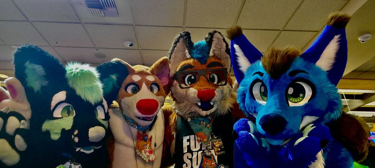 Peanut_Pitbull's tweet image. Highlights from the When Furballs Strike meet! Huge thanks to @FurlifeNW for informing me of the event! It was great to see familiar faces like @JesseBlueFox &amp;amp; @thefurrybarista! Can’t wait to see y’all at anthro northwest this year 🧡 #wfs #whenfurballsstrike #furry #fursuit