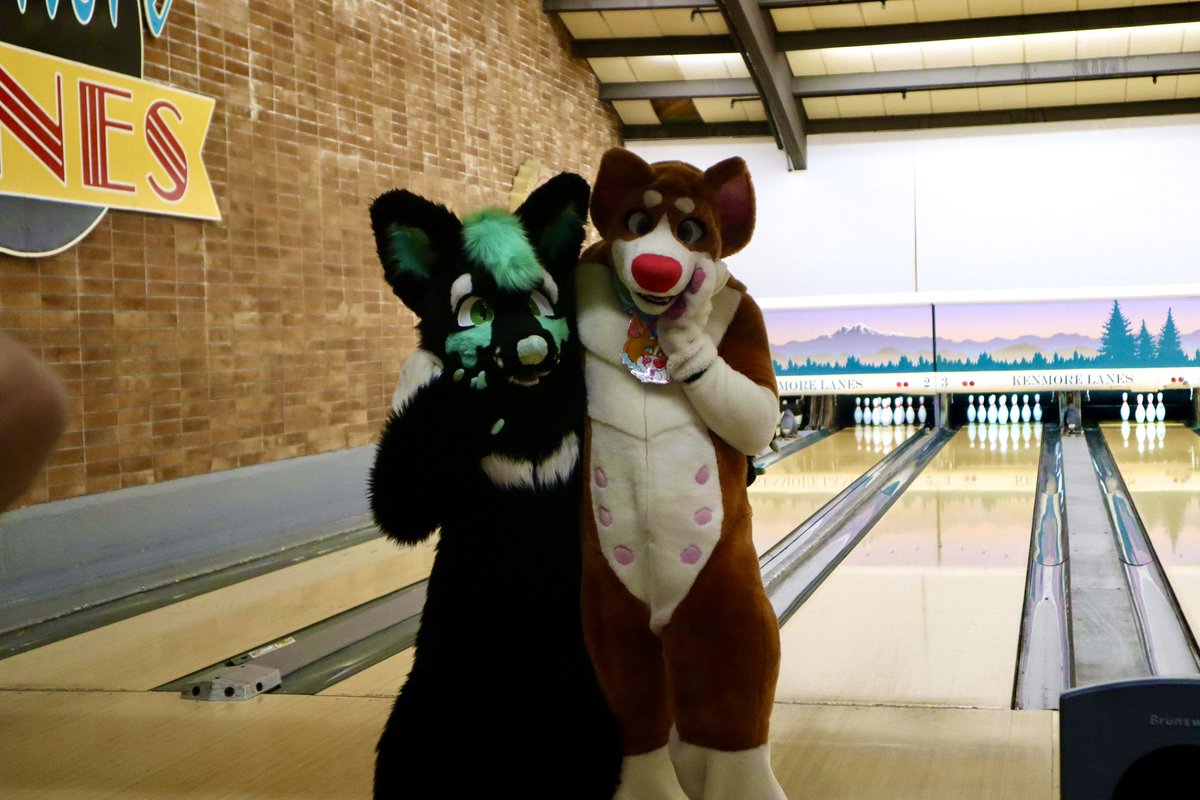 Peanut_Pitbull's tweet image. Highlights from the When Furballs Strike meet! Huge thanks to @FurlifeNW for informing me of the event! It was great to see familiar faces like @JesseBlueFox &amp;amp; @thefurrybarista! Can’t wait to see y’all at anthro northwest this year 🧡 #wfs #whenfurballsstrike #furry #fursuit