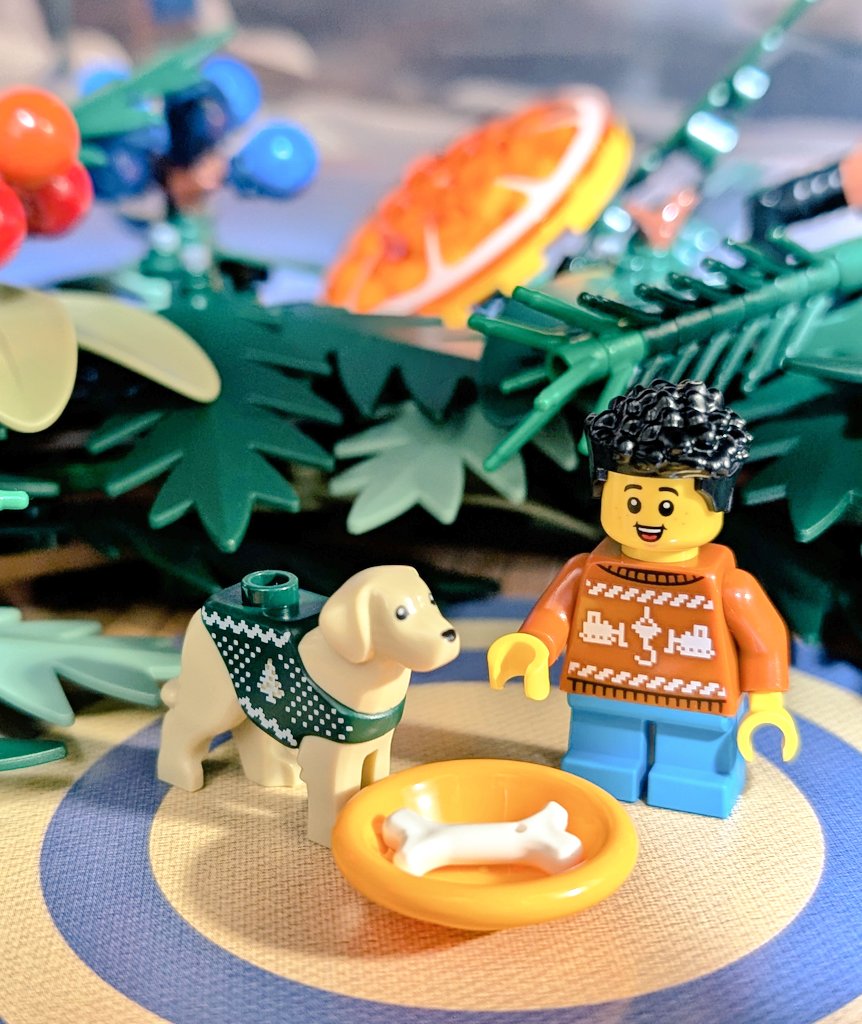 レゴシティアドベントカレンダー3日目🎄
かわいいセーターを着たレトリバー🦮🎶お揃い感があっていいですね🎶エサとお皿もついてました🥰