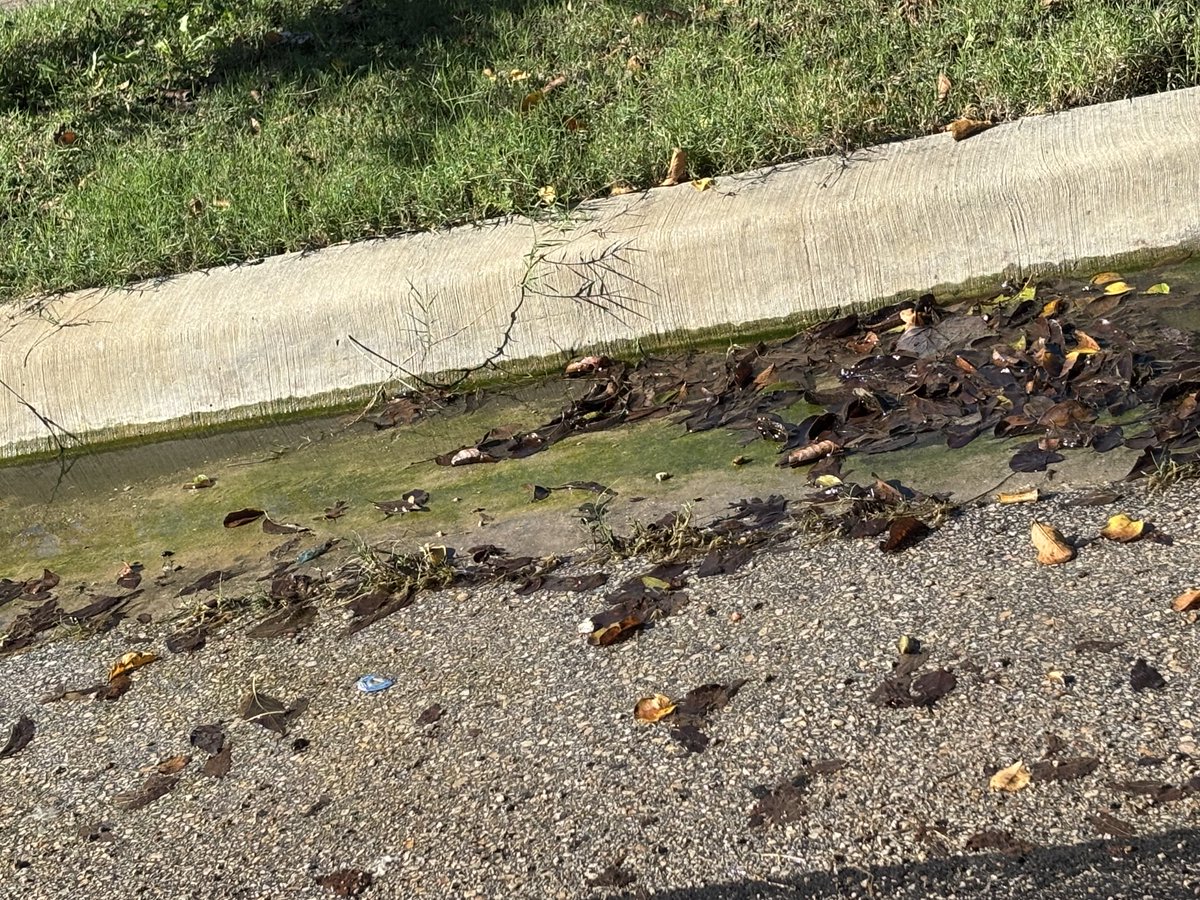 gbdaro's tweet photo. ⁦@mytrinityriver⁩ Pls help!!!  I have opened at least three maybe four tickets via the website and by calling. The tickets are closed, the leak has not been repaired, and getting worse! The address is approximately 6205 Silvery Moon Dr.  If someone can pls help!! Thank you! https://t.co/BGKJQt8hzF