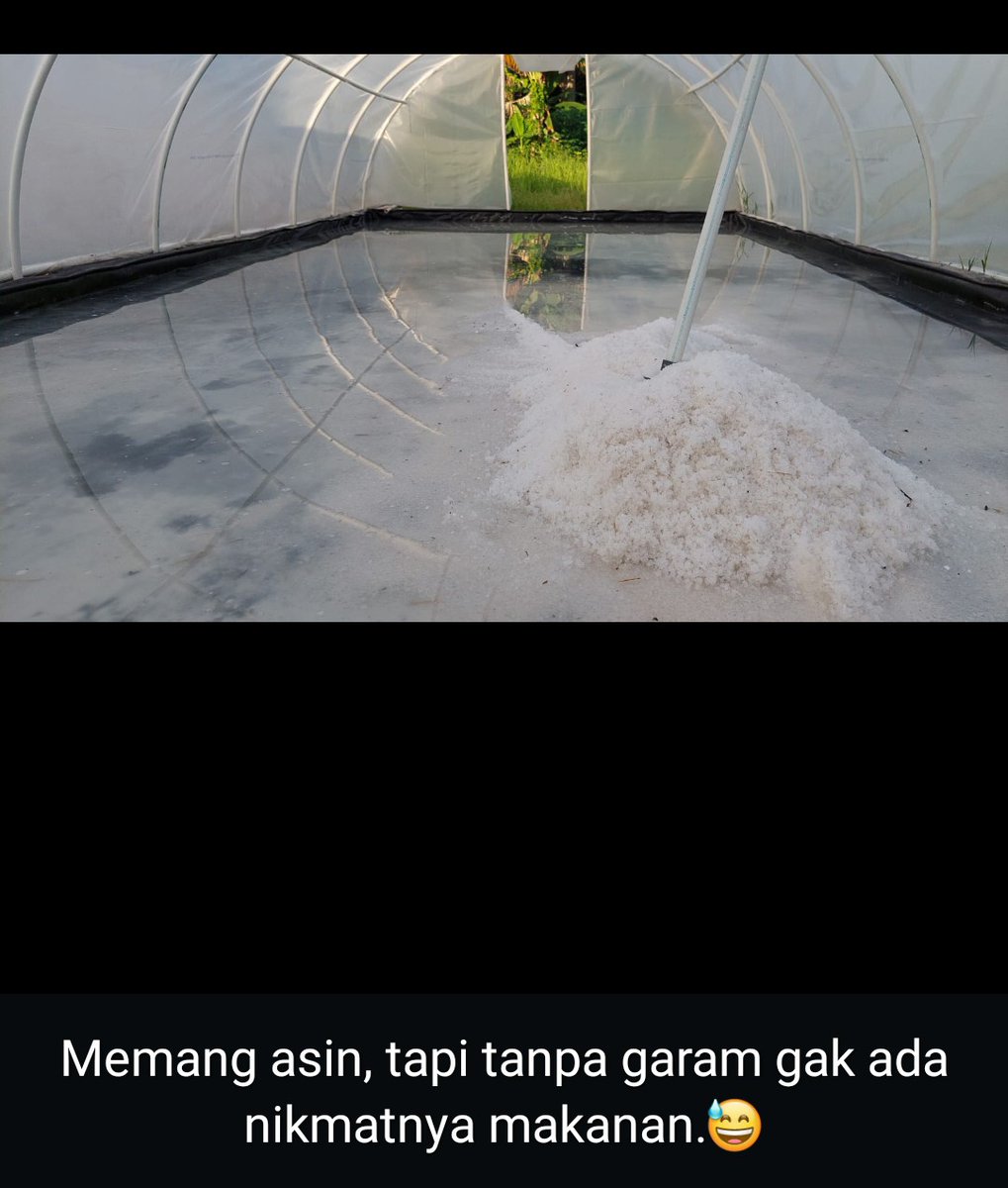 hendrarubi's tweet photo. Selasa (03/12) Hendra Rubianto, Luhkan Kukar,  KUGAR KERSIK 2 Ds Kersik, Garam krosok, Tunel Garam, 02/12, Berat 200 kg, Harga 7.000/kg
@PKBLU_bp3tegal @bppsdm_kp
@ditprlkkp @kkpgoid
@pemkabkukar #GiatLuhkanSatminkalTegal
#KabKutaiKartanegara
#Garam
#PenyuluhPerikananHebat https://t.co/mc0eBkFpOy