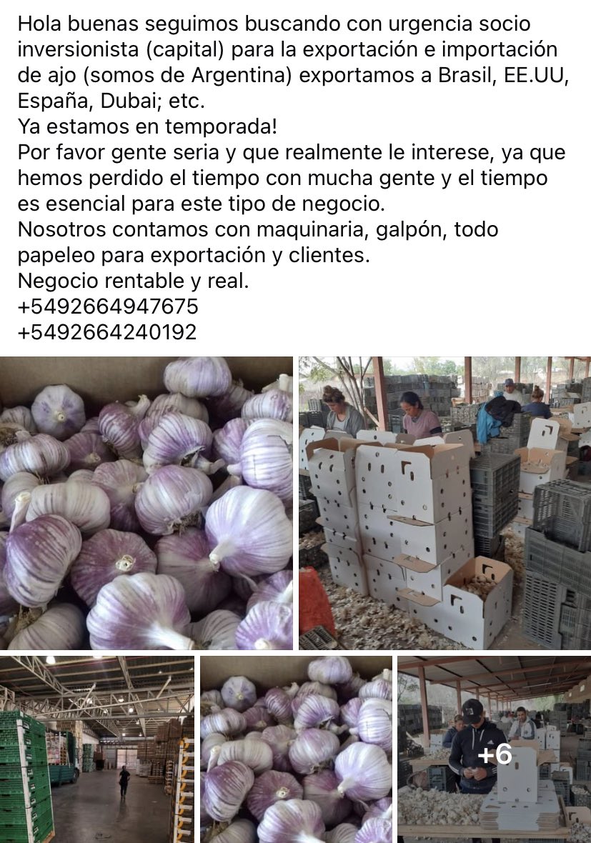 EtcheColman11's tweet photo. #BuscamosSocioInversionista
#ExportacionDeAjo
#Argentina https://t.co/RctB271PYQ