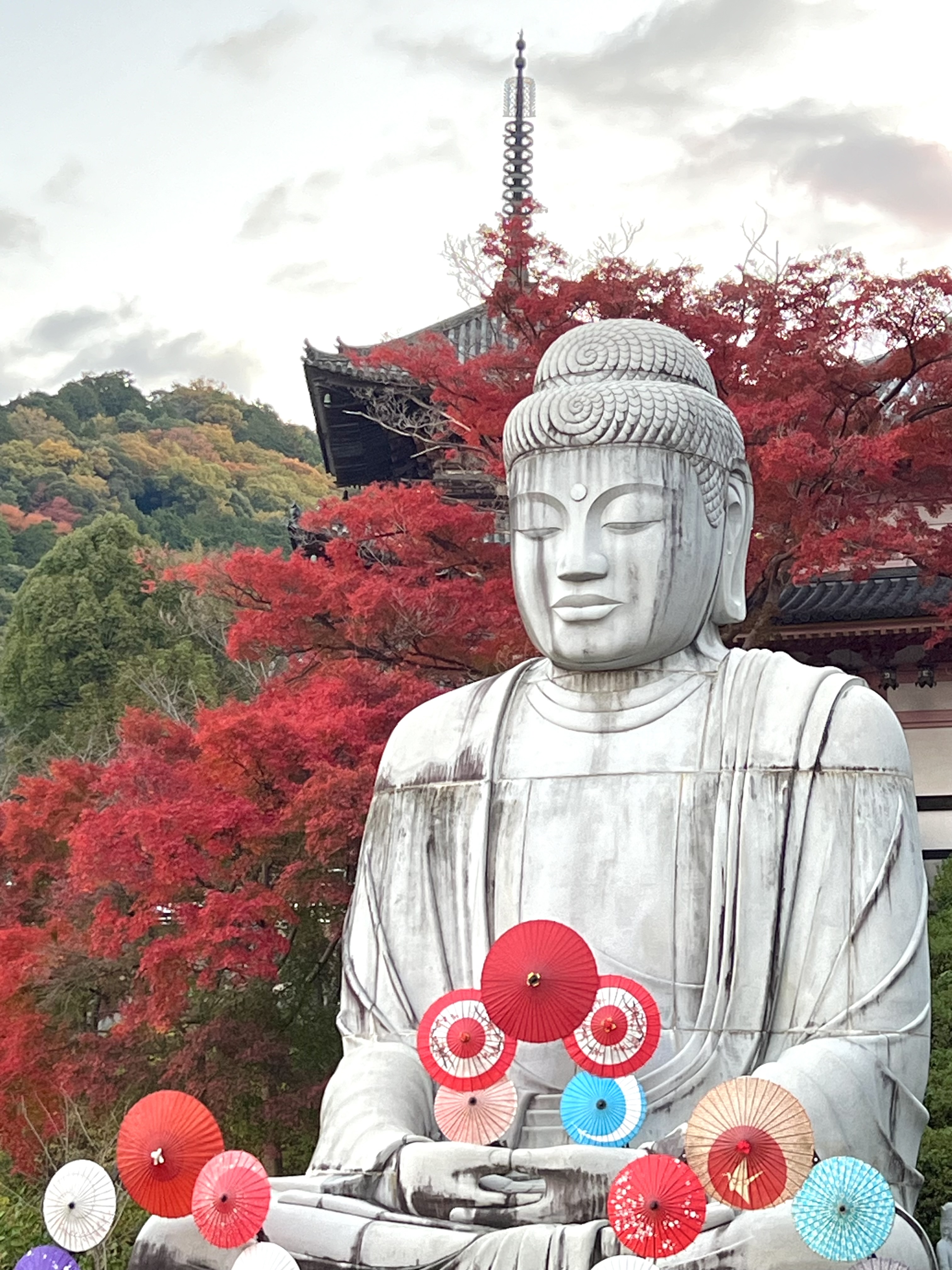 壷阪寺 tsubosakadera on X: 