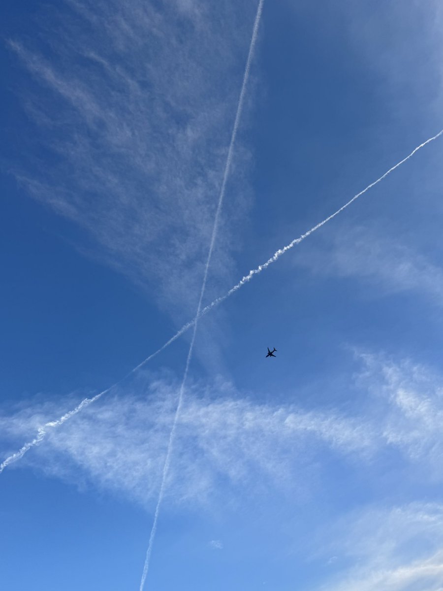 AdelSuleiman's tweet image. @X 
I am never deleting this app 
#MySign 🇺🇸🚀❤️