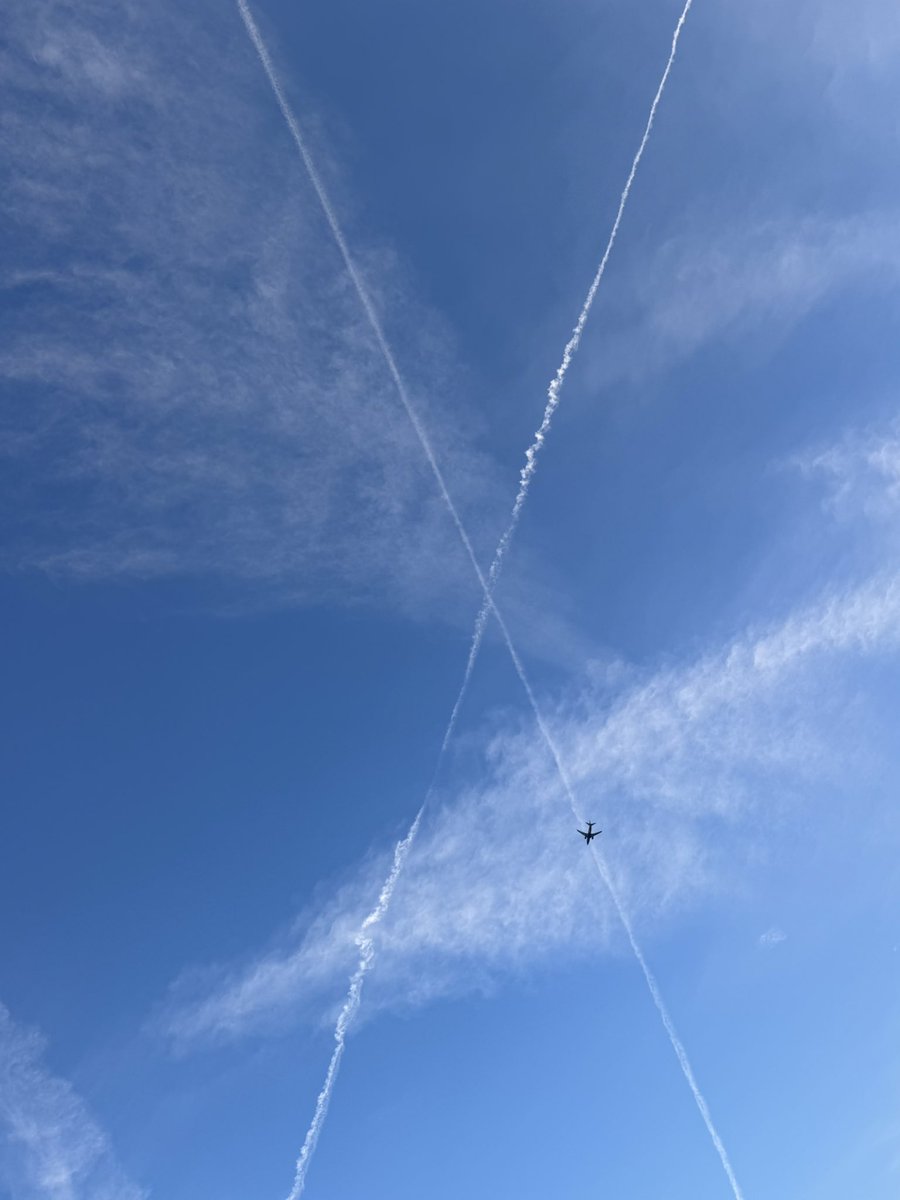 AdelSuleiman's tweet image. @X 
I am never deleting this app 
#MySign 🇺🇸🚀❤️