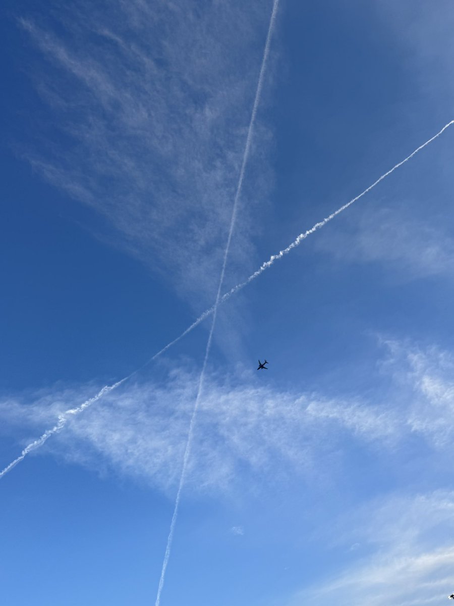 AdelSuleiman's tweet image. @X 
I am never deleting this app 
#MySign 🇺🇸🚀❤️