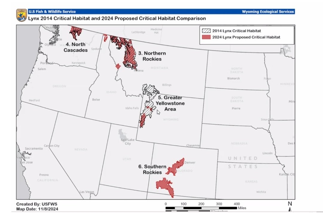 SeanPaige's tweet photo. As a parting "gift" to #Colorado, the Biden admin. plans to designate 7,700 square miles of prime mountain terrain (roughly 5 million acres!) as "critical habitat" for the Canada lynx -- a cat that has never been here in significant numbers.

Designation-related regulations could severely restrict ranching, road- and trail-building, wildfire prevention, skiing, snowmobiling, mountain biking, and even hiking on #publiclands.

It's a "gift" that will eventually bear bitter fruit, in other words, if not halted by the @realDonaldTrump White House. 

#copolitics #coleg  @USFWS @Interior #publiclands #trumptransition