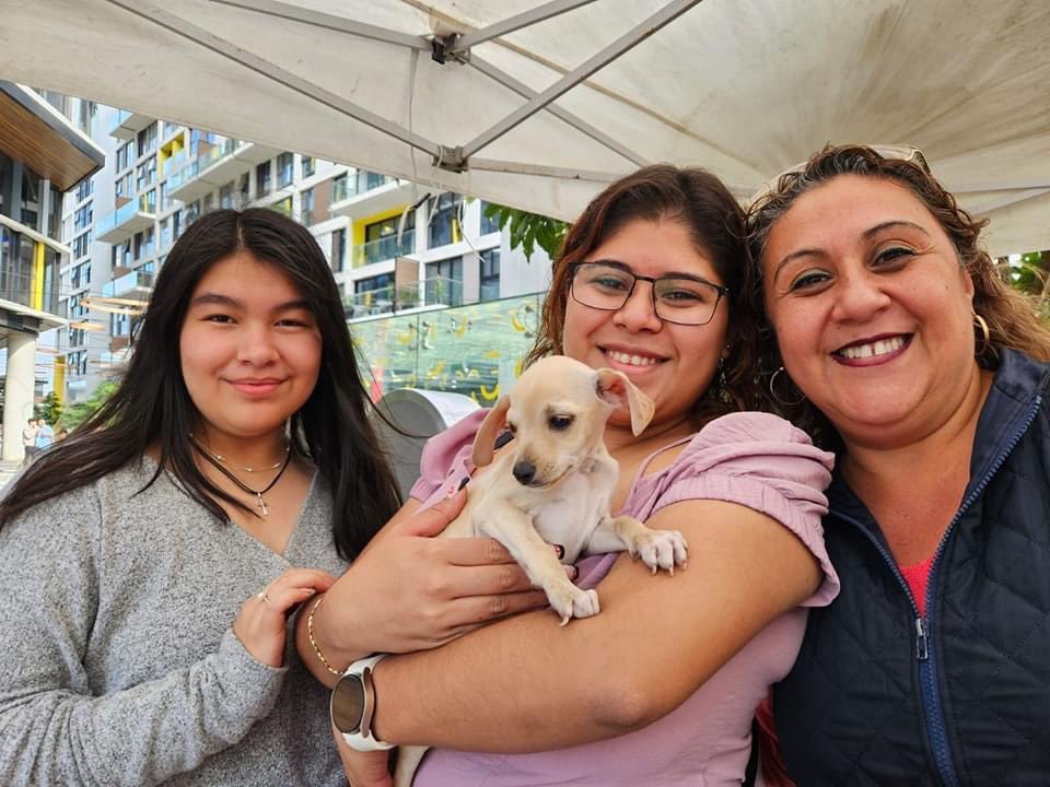 Animals Hope tweet media