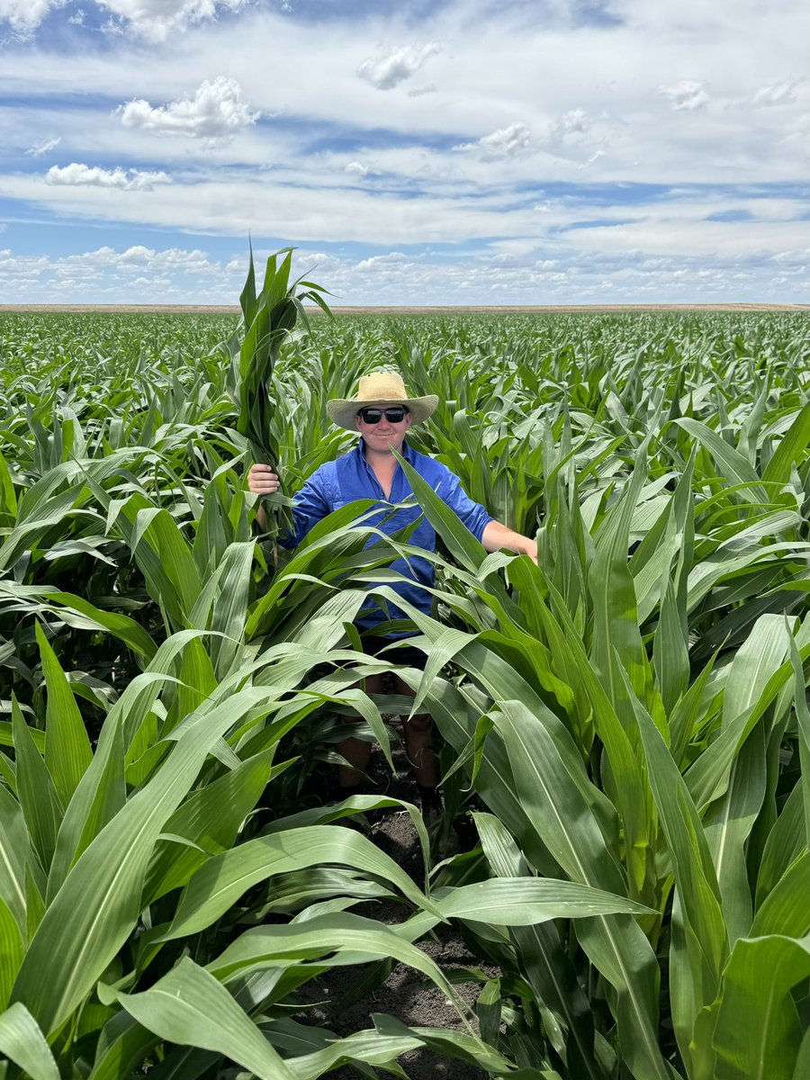 Liam Whitbourne tweet media