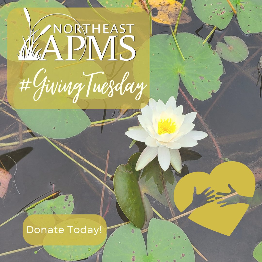 💙 This #GivingTuesday, Make a Difference! 💙
Join us in supporting the next generation of aquatic plant management professionals by contributing to NEAPMS!📥 Donate Now: shorturl.at/ZChC🎁 Contribute to the Auction: Bring your auction items to the upcoming conference.