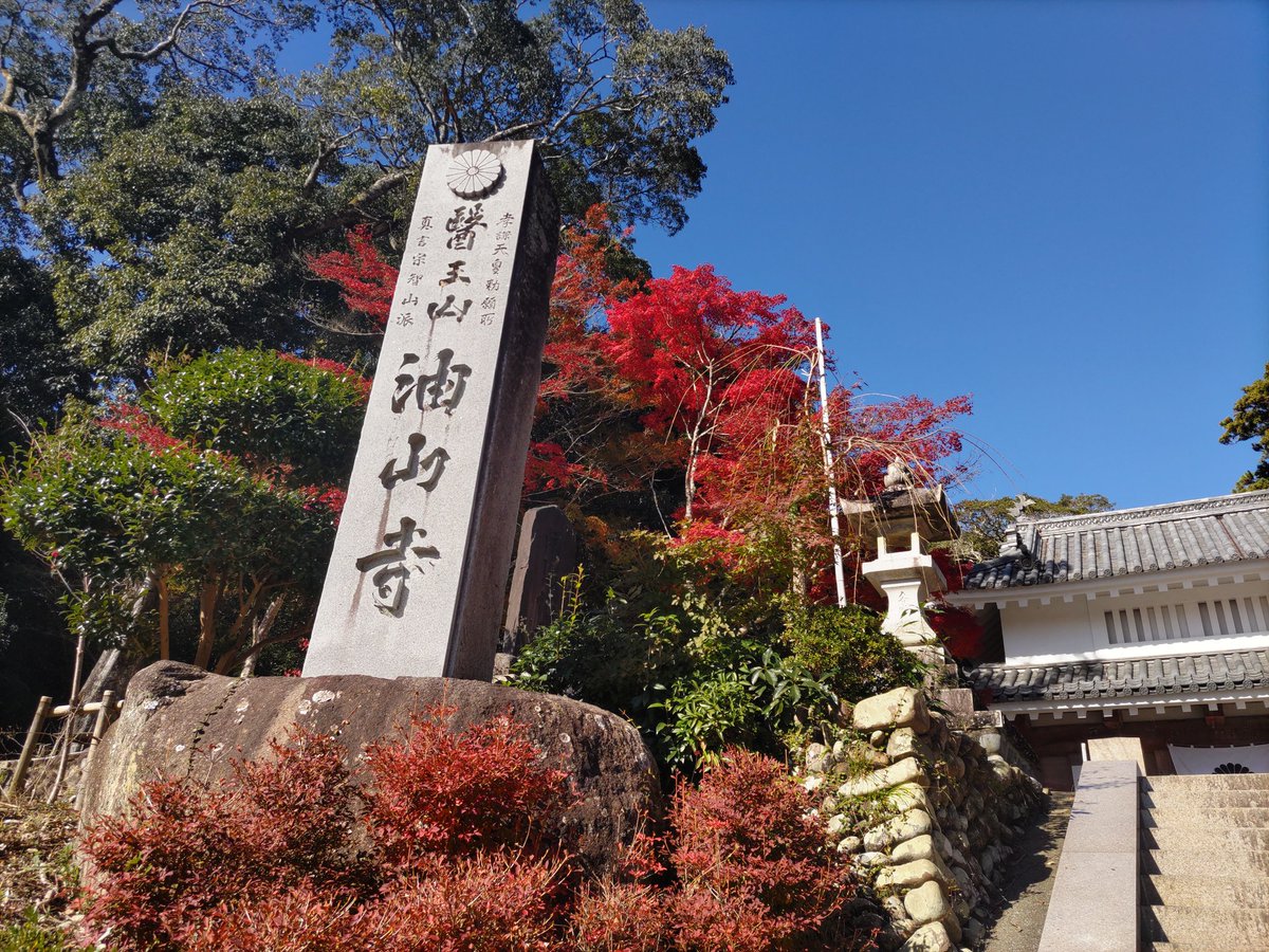 StayOve's tweet photo. 『我逢人』

出逢いは自分を成長される種
出会ったことが始まりとなり、
影響しあい、信頼が生まれ、成長し、
かけがえのない存在となっていく

#禅語 
#自分とは異なる何か https://t.co/28yOLnqi2W
