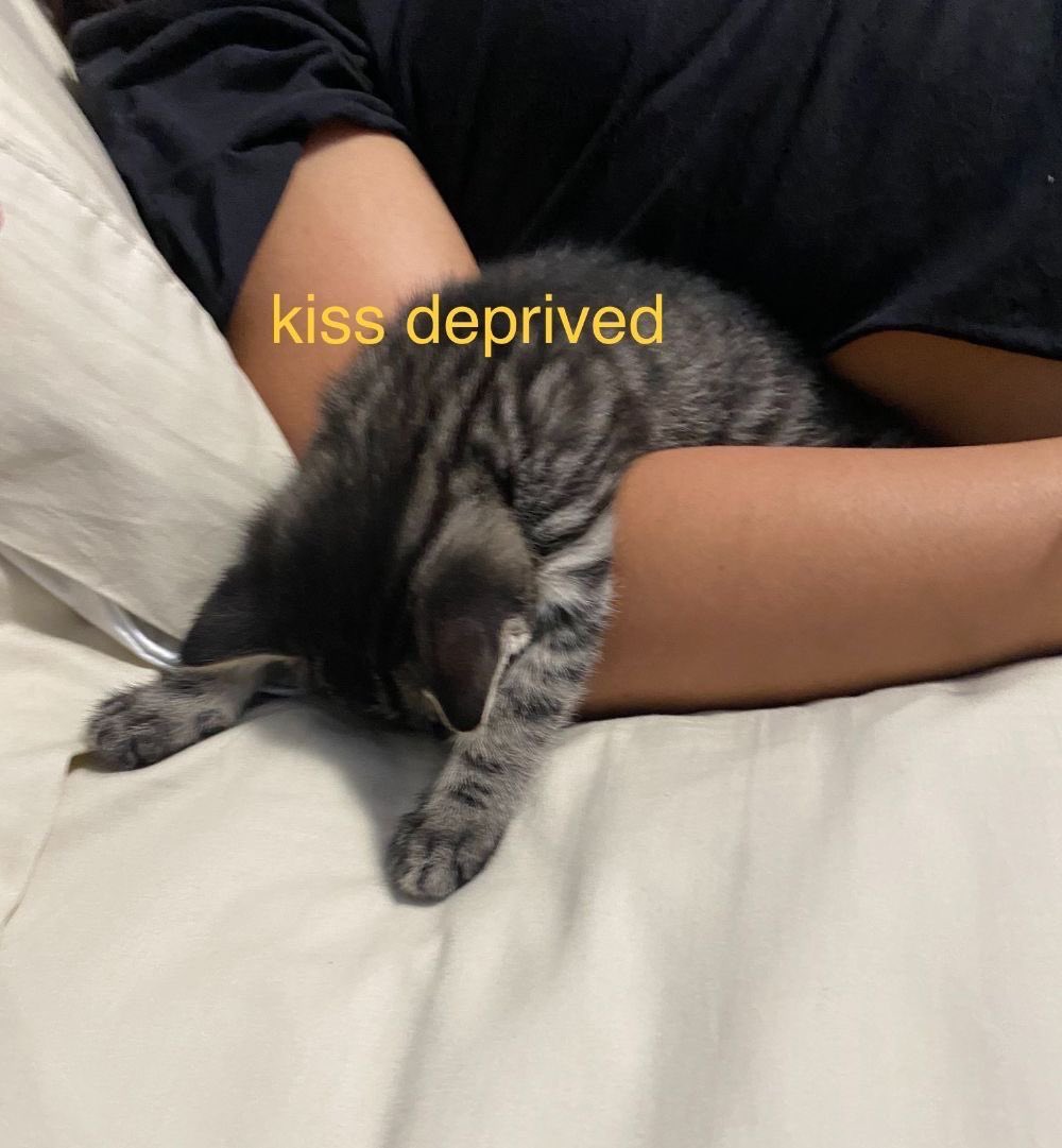Content from azuzugoddess
