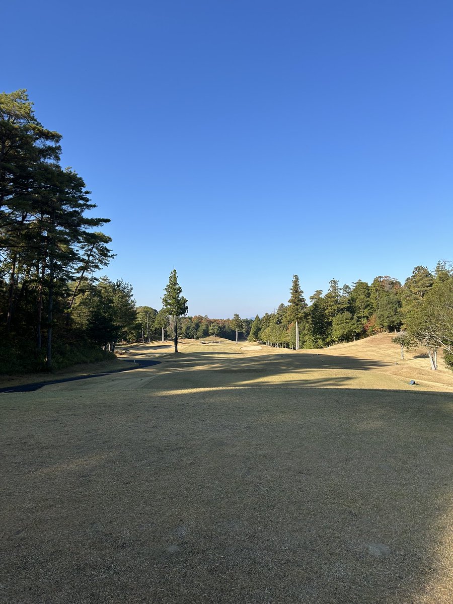 3kiyo_m9's tweet photo. うちおさめ⛳️ https://t.co/NvoJabQIA5