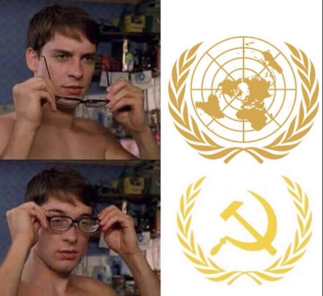 Pato Bonato sin bozal tweet media