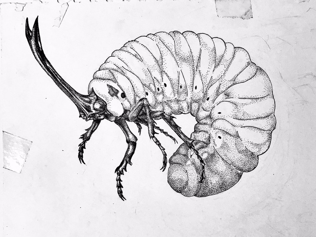 昔描いてたスケッチブックの中身
今見てもなかなかいい絵が多い 