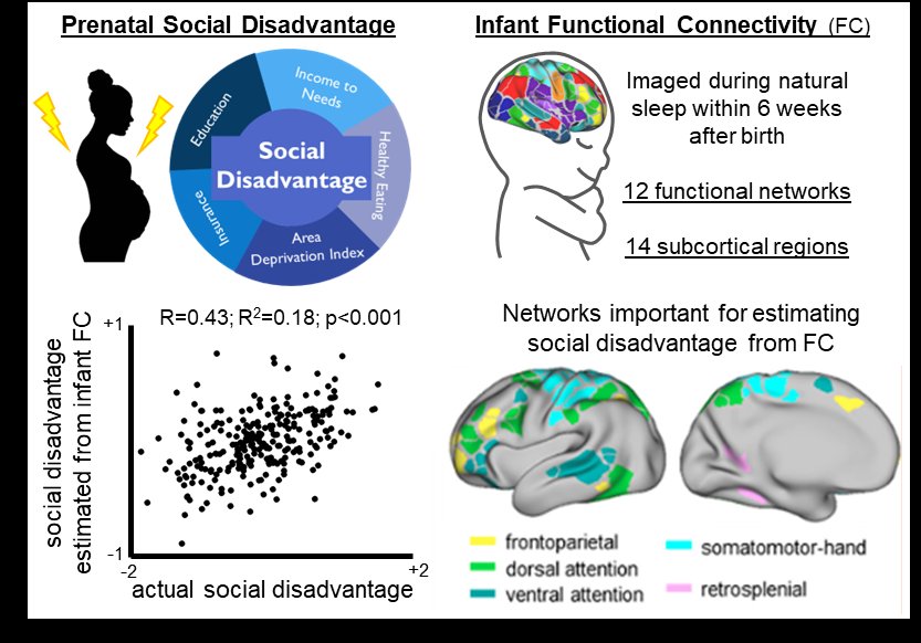 New paper out today in PNAS 🎉 demonstrating:
1) an association btw social disadvantage &amp; child brain function can be observed at birth
2) these alterations are 🧠-wide, but most pronounced in functional networks &amp; subcortex linked to childhood adversity

doi.org/10.1073/pnas.2…