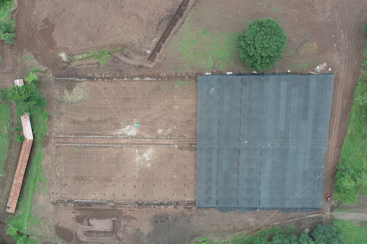 LuisSolizHN's tweet photo. ✅La infraestructura en Santa Rosa de Copán ya está completamente lista, mientras que en otros cuatro departamentos se encuentra en proceso de construcción 🔨 como parte del Proyecto #Agrobosques 🌳

Con una visión clara y un compromiso con el medio ambiente y el bienestar social 🤝, la presidenta 
@XiomaraCastroZ lidera un revolucionario proyecto para fortalecer las comunidades 🏘️ a través del Protector #Agrobosque 🌱, una estrategia que combina innovación 💡, sostenibilidad ♻️ y desarrollo rural 🌾

La infraestructura ya está preparada para producir 5 millones de plantas 🌱 para comenzar la transformación tradicional de cafetales ☕ a sistemas sostenibles 🌱. Con esta primera acción, damos inicio al proyecto #Agrobosque 🌳, una iniciativa que revitalizará nuestras fincas 🌾, restaurará áreas degradadas 🌍 y abrirá el camino hacia un desarrollo sostenible 🚀.

Este es solo el inicio. Nos hemos propuesto alcanzar la meta de plantar 15 millones de árboles 🌳 para el año 2025, renovando 3,500 hectáreas de fincas 🌾 con sistemas agroforestales 🌿. Esta iniciativa representa un compromiso con un futuro sostenible 🌱, transformando nuestro entorno 🏞️, fortaleciendo nuestra economía 💰 y mejorando la calidad de vida de todos ❤️.
#XiomaraSiCumple