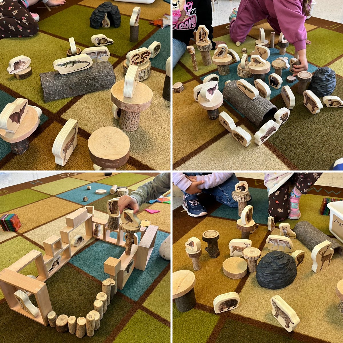 Building animal habitats at the building centre. 

<a href="/LordStrath_LDSB/">Lord Strathcona PS</a>