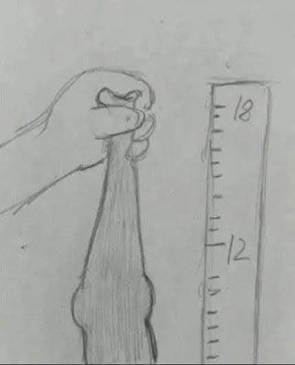 everluanever's tweet photo. fala que não é 18cm agora https://t.co/7TNt87c8Rb