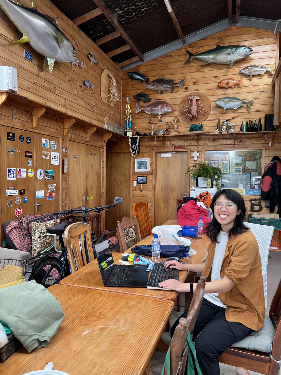 Tech70CP's tweet image. My friend’s dive shop shed in Aotearoa New Zealand is perhaps the strangest and coolest office I’ve worked in so far.