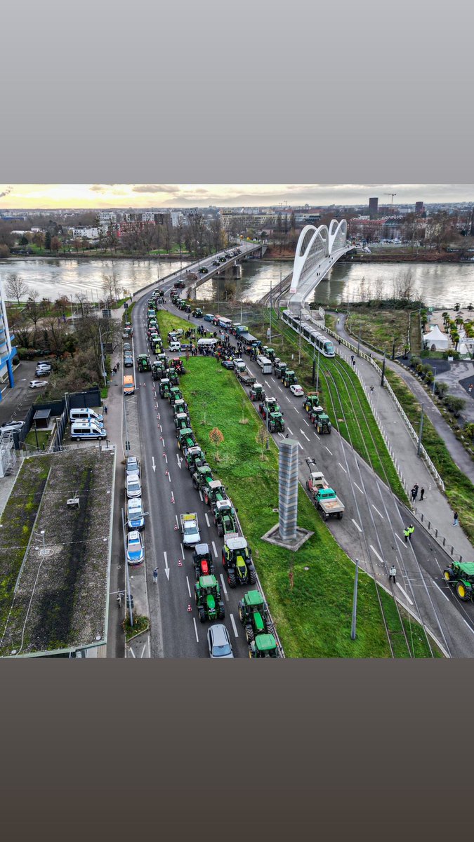 lsv_bw_de's tweet photo. Europabrücke Kehl / Straßburg 02.Dezember 2024 für gleiche Produktionsstandards und eine verpflichtende Herkunftslandkenzeichnung in Handelsabkommen #Mercosur https://t.co/9C07NCXurv