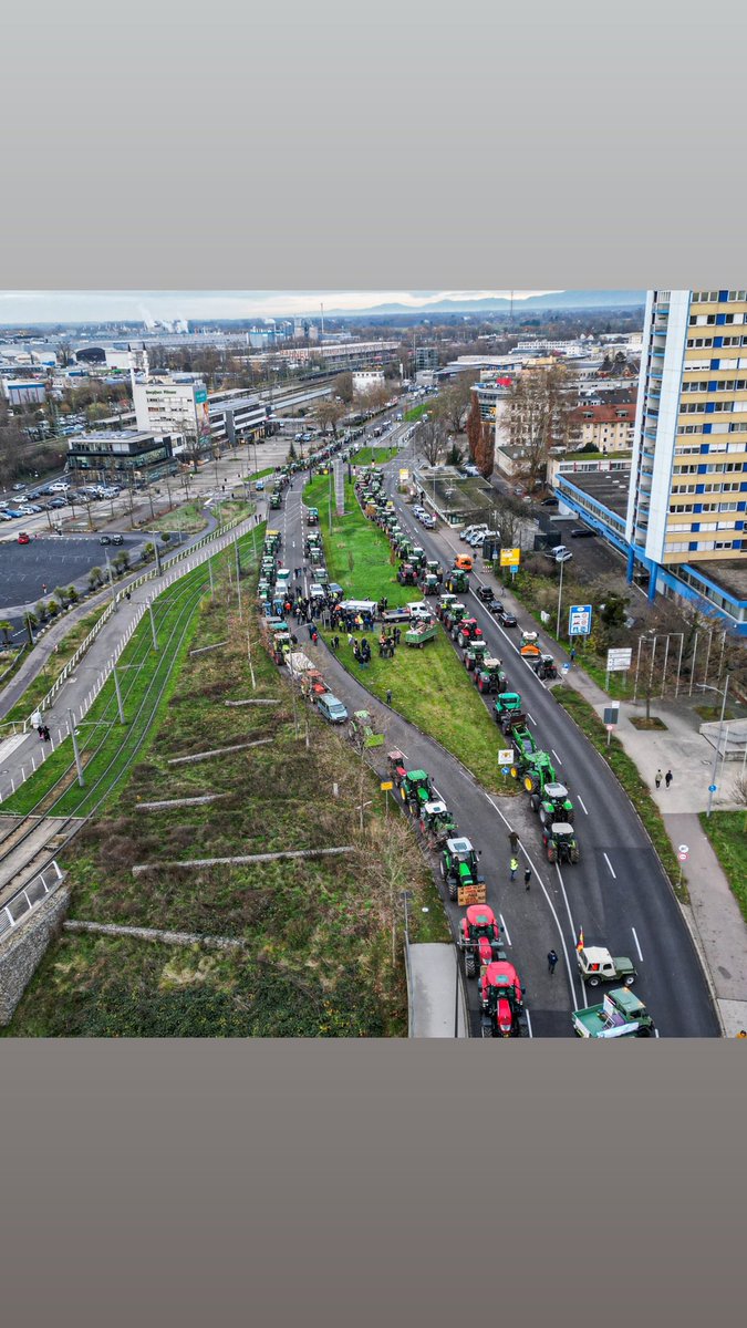 lsv_bw_de's tweet photo. Europabrücke Kehl / Straßburg 02.Dezember 2024 für gleiche Produktionsstandards und eine verpflichtende Herkunftslandkenzeichnung in Handelsabkommen #Mercosur https://t.co/9C07NCXurv