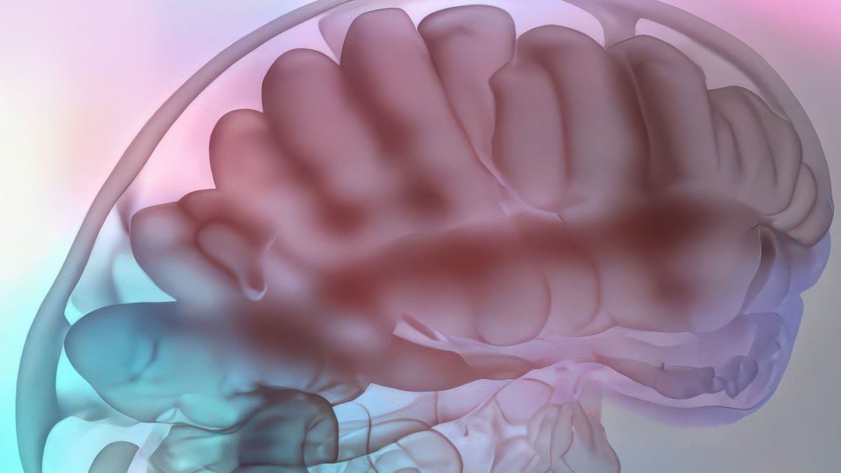 NVIDIA Healthcare tweet media