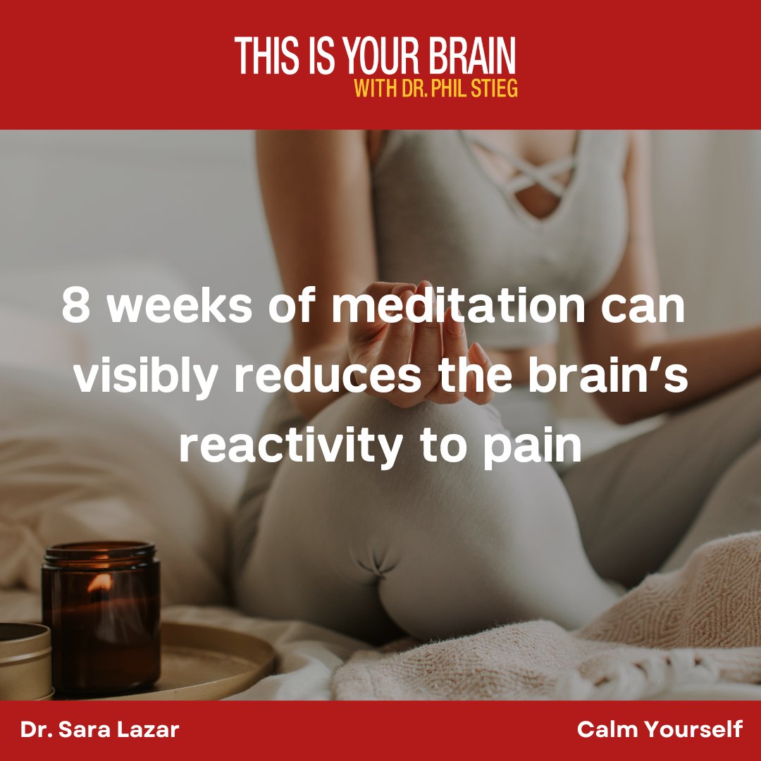 🧘 Just eight weeks of mindful #meditation can visibly change the brain to be less reactive to pain.

🧘‍♀️ Find out how you can reduce suffering on “Calm Yourself.”

podcasts.apple.com/us/podcast/thi…

#mindfulness #painmanagement #podcast