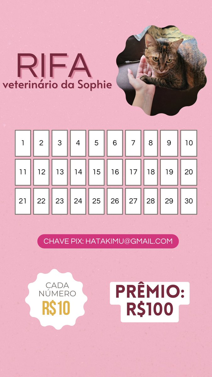 yuutashun's tweet photo. oi postando aqui também. minha gata sophie tá doente faz meses (problemas urinários) e eu preciso levar ela no veterinário e fazer exames
quem puder compartilhar e/ou participar eu agradeço muito https://t.co/K4uQKpCuxF