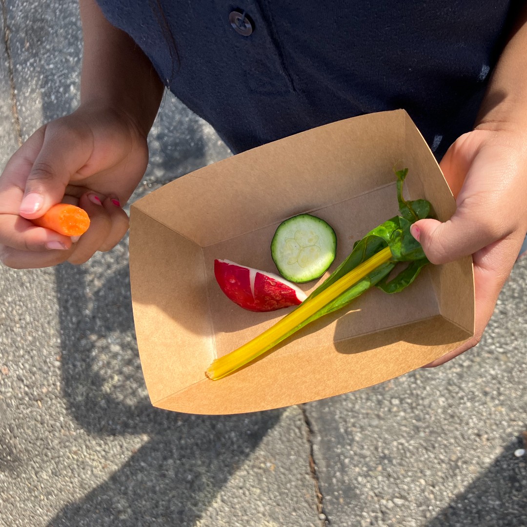 🌈 Eating the Rainbow, Straight from the Garden! 🌱 TK students went on a rainbow scavenger hunt in the garden and harvested the rainbow to taste! We tried zucchini, rainbow carrots, rainbow chard, purple kale, radishes and sugar snap peas!