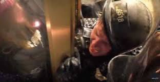 AceSquid's tweet photo. @Jamielane6987 @MissFlor7 @MeghanMcCain Yeah! It was peaceful! They did literally nothing wrong, peaceful doves, all them! https://t.co/R8g0BSNkTv