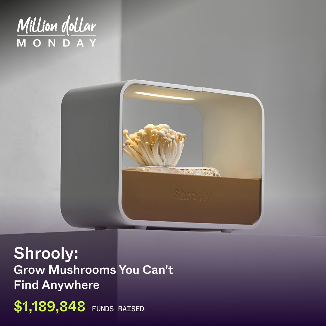 Indiegogo💡 tweet media