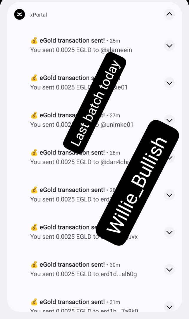 Willie Bullish🧑💻 tweet media