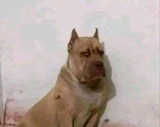 MissUNIversus's tweet photo. @tiba041 Não vale a pena. Na maioria dos caso são esforços unilaterais onde só existe vontade de um lado pq o outro (ou até mesmo o próprio relacionamento)  só se basea na vontade de querer se pegar. Não existe amor nos relacionamentos, nunca existiu pra falar a verdade https://t.co/Unh5tismqK