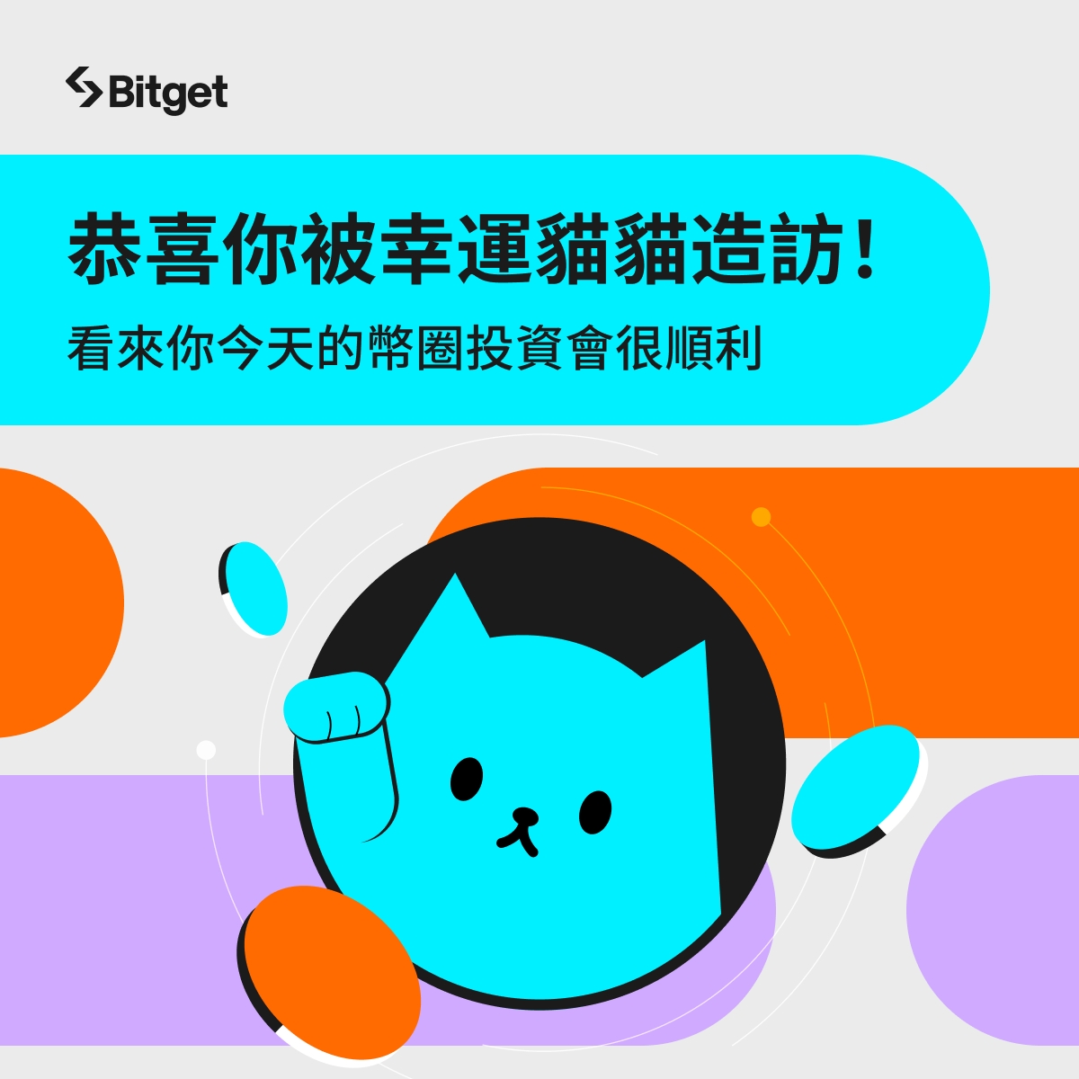 🍀恭喜你被幸運貓貓造訪🍀
按讚💙 + 轉發🔁 即可幸運翻倍 😍🚀