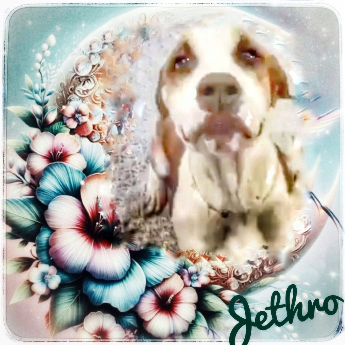 rothfarms's tweet photo. #SaveJethro https://t.co/9KXFXZodAz
