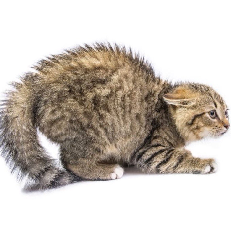 *unknown number has tried calling you*