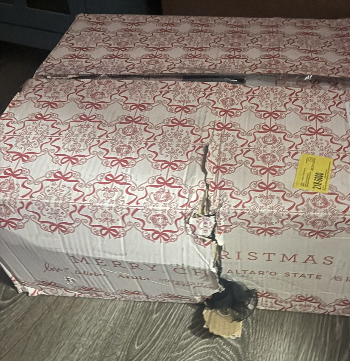 PattiesKakes's tweet photo. @Altard_State  I am so disappointed with my delivery from you all through the carrier @FedExHelp @FedEx. When I received my package today my dress for a  company holiday party was hanging outside of a big hole in the box. https://t.co/Fh5h2duVRp