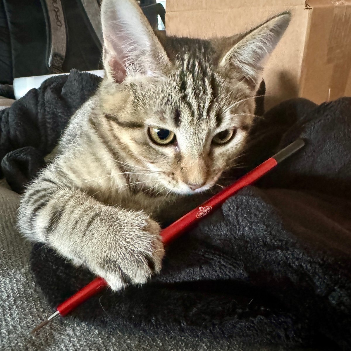 Lethal Shadows tweet media