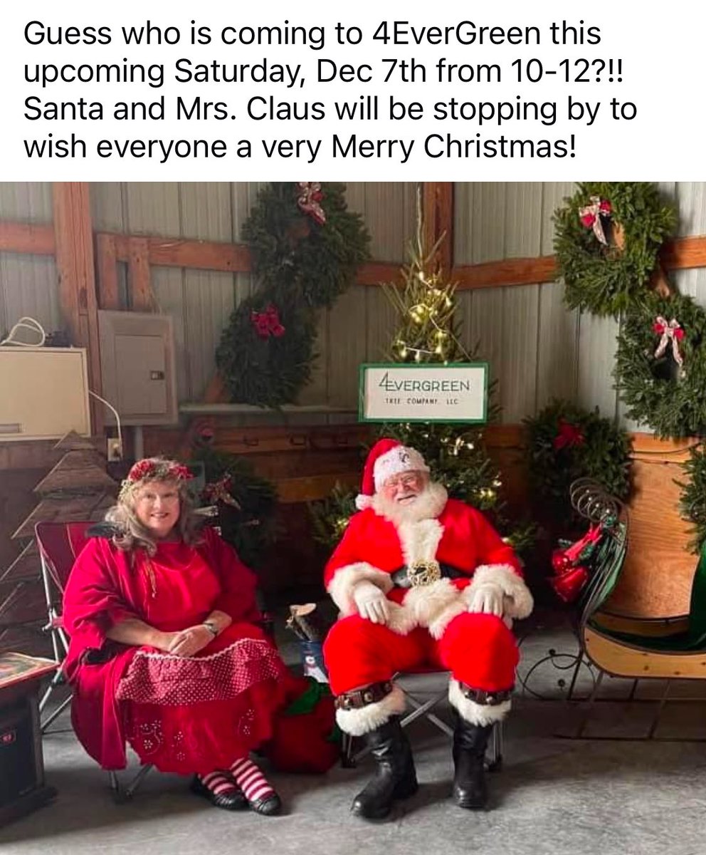 4EvergreenTree's tweet image. 