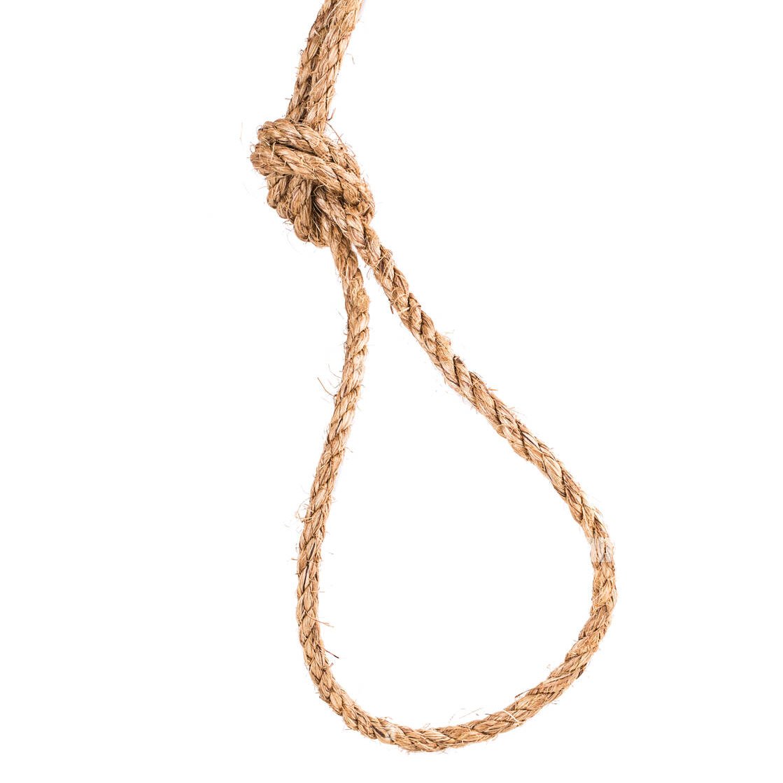 💐Guru 💐 tweet media